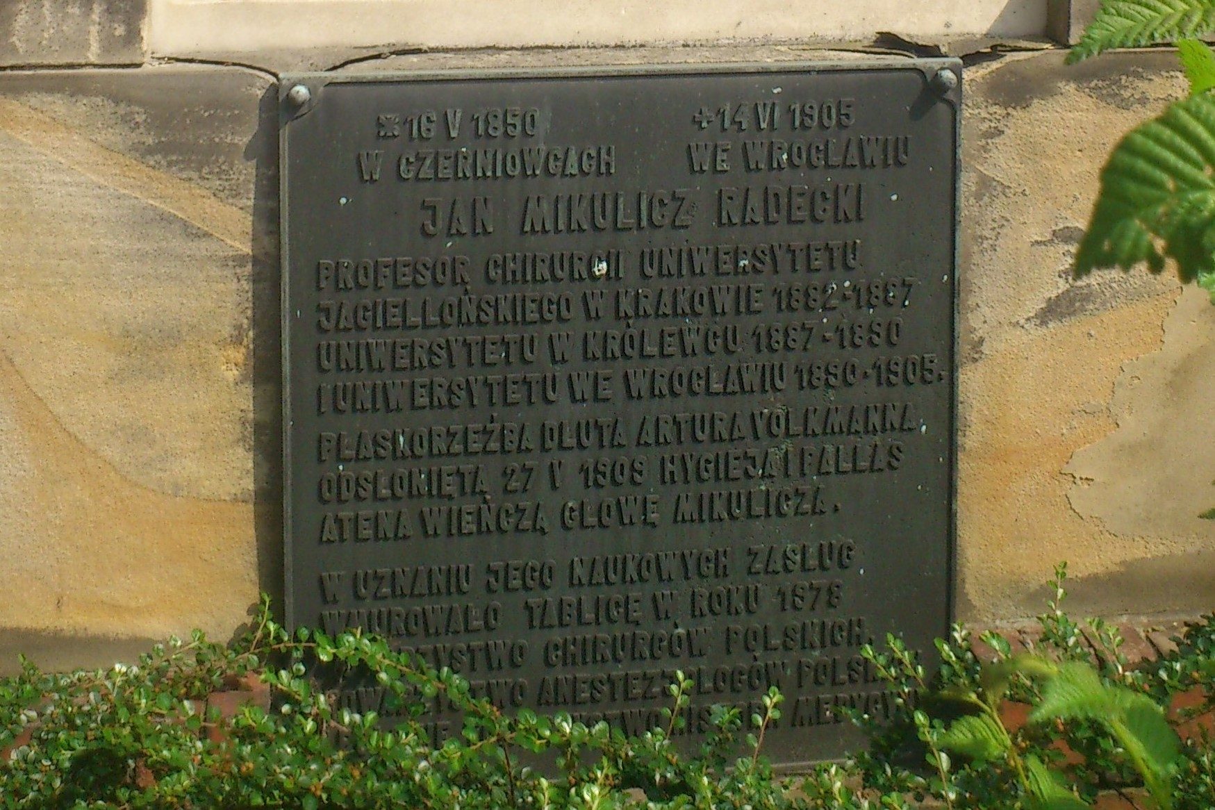 Jan Mikulicz-Radecki's monument, Wroclaw (by Magdalena Mazurak) (3).JPG